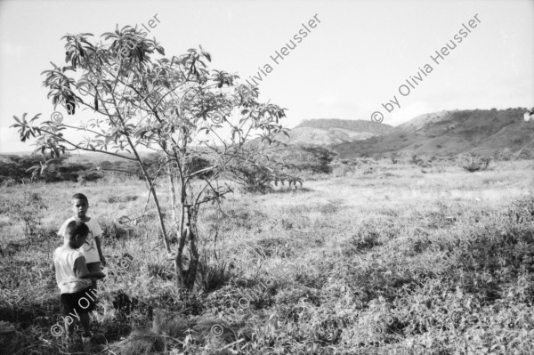 Image of sheet 19960860 photo 12: Esteli segovias Nueva Segovia Nicaragua 1996