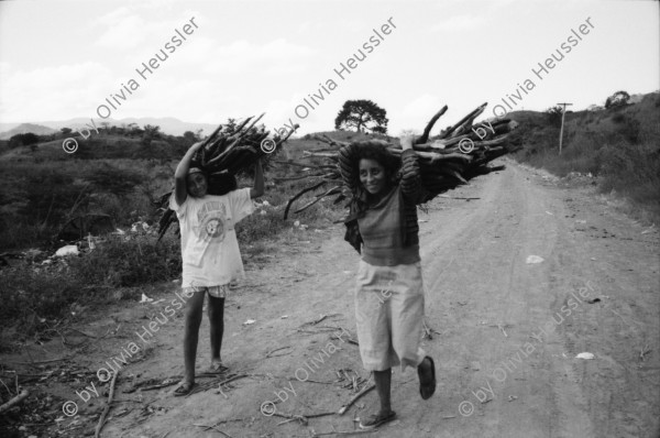 Image of sheet 19960860 photo 15: Las Pintadas auf dem Weg zum 'el asiento del cacique (gobernante indigena) Ziegen Kinder beim Früchte Holz sammeln Abfallberg Ameisen wege Mädchen mit Kartonschachtel auf dem Kopf. IFA Bus von El Sauce Männer sitzen auf Dach Bayardo Gamez zeichnet die Indianischen Inschriften nach. Esteli segovias Nueva Segovia Nicaragua 1996