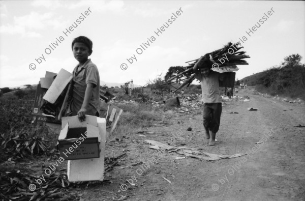 Image of sheet 19960860 photo 17: Las Pintadas auf dem Weg zum 'el asiento del cacique (gobernante indigena) Ziegen Kinder beim Früchte Holz sammeln Abfallberg Ameisen wege Mädchen mit Kartonschachtel auf dem Kopf. IFA Bus von El Sauce Männer sitzen auf Dach Bayardo Gamez zeichnet die Indianischen Inschriften nach. Esteli segovias Nueva Segovia Nicaragua 1996