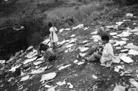 Image of sheet 19960860 photo 23: Nueva Segovia Nicaragua 1996