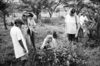 Image of sheet 19960860 photo 34: Las Pintadas auf dem Weg zum 'el asiento del cacique (gobernante indigena) Bayardo Gamez zeichnet die Indianischen Inschriften nach. Esteli segovias Nueva Segovia Nicaragua 1996