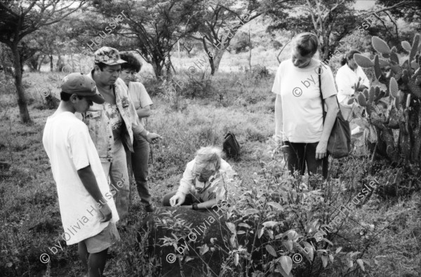 Image of sheet 19960860 photo 34: Las Pintadas auf dem Weg zum 'el asiento del cacique (gobernante indigena) Bayardo Gamez zeichnet die Indianischen Inschriften nach. Esteli segovias Nueva Segovia Nicaragua 1996