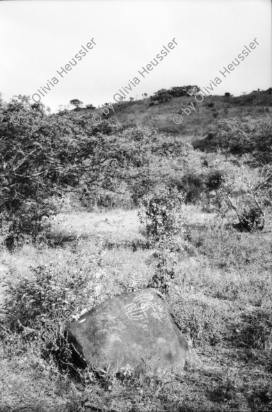 Image of sheet 19960860 photo 35: Las Pintadas auf dem Weg zum 'el asiento del cacique Esteli segovias Nueva Segovia Nicaragua 1996