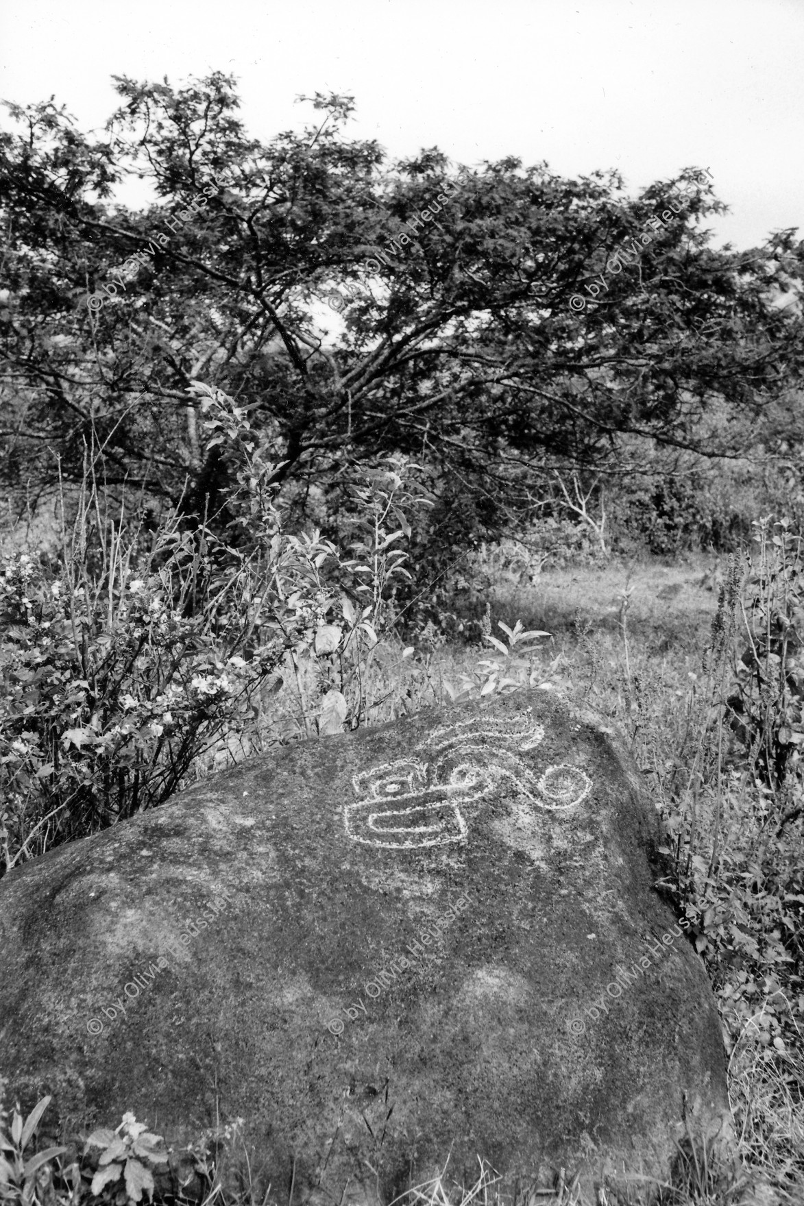 Image of sheet 19960860 photo 36: Indigene Zeichnungen in Stein aus der Präkolumbianischen Zeit in Nicaragua. 1996


ONE TIME NON EXCLUSIVE EDITORIAL RIGHTS ONLY- NO ARCHIVING-NO THIRD PARTY DISTRIBUTION

© 1996, by OLIVIA HEUSSLER / www.clic.li