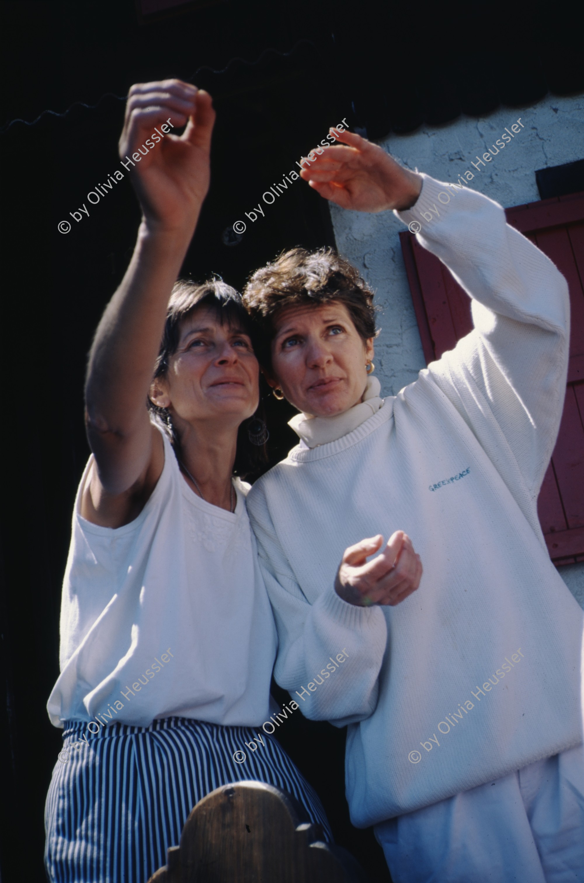 Image of sheet 19963004 photo 4: L
