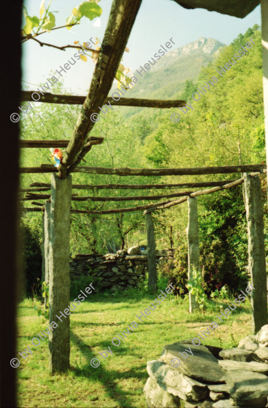 Image of sheet 19970060 photo 28: Haus Gordevio Innen und aussen Garten Trauben Gebrauchsanweisung Schlauch und Waschmaschine 1997 Tessin Ticino schweiz Switzerland