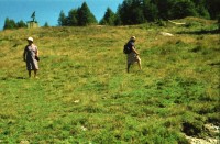 Image of sheet 19970102 photo 25: s