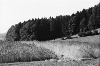 Image of sheet 19970103 photo 23: h