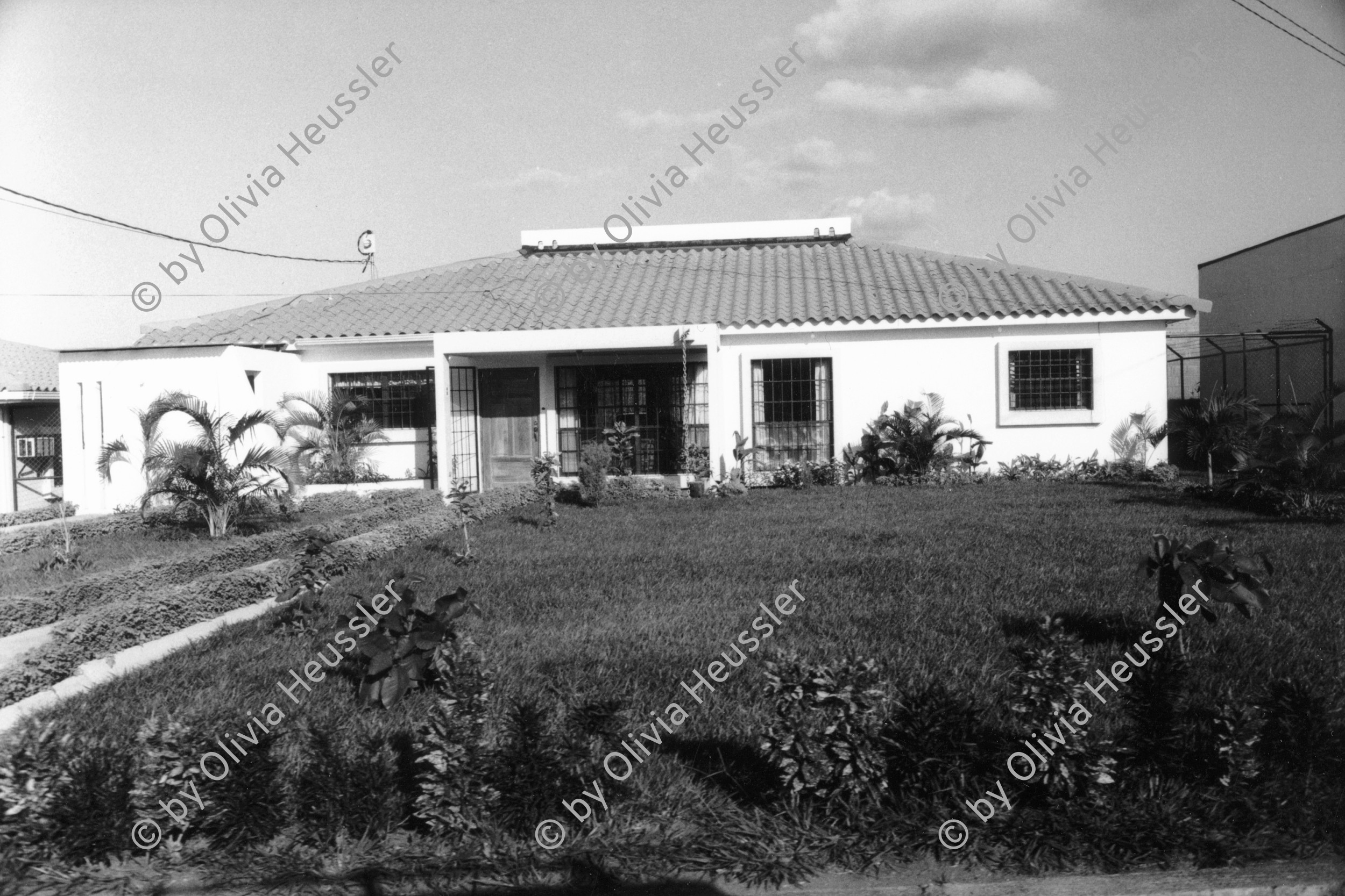 Image of sheet 19970150 photo 31: I
