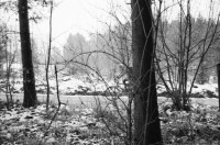 Image of sheet 19980020 photo 21: A
