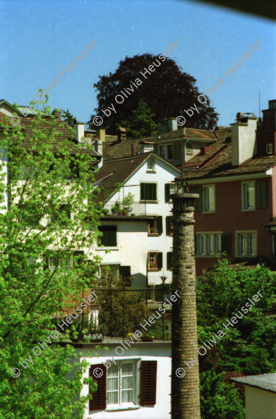 Image of sheet 19980150 photo 30: frtsg. Zentrum Klus Kinder spielen mit Kaninchen Alis Heussler Cafeteria Zwillinge im Kinderwagen Karli Karl der Grosse Zentrum Altstadt Grossmünster von Hinten Zürich 1998