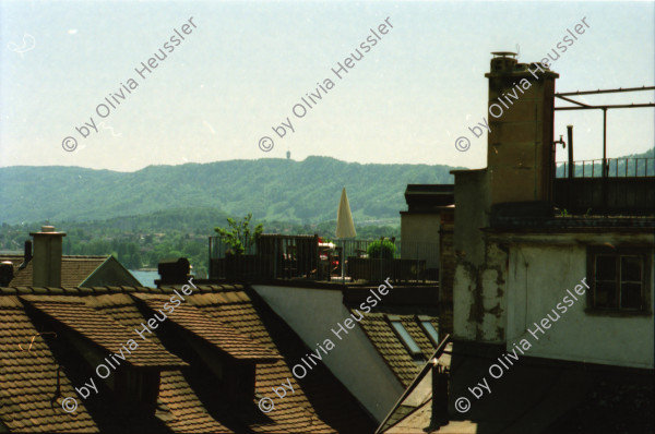 Image of sheet 19980150 photo 32: frtsg. Zentrum Klus Kinder spielen mit Kaninchen Alis Heussler Cafeteria Zwillinge im Kinderwagen Karli Karl der Grosse Zentrum Altstadt Grossmünster von Hinten Zürich 1998