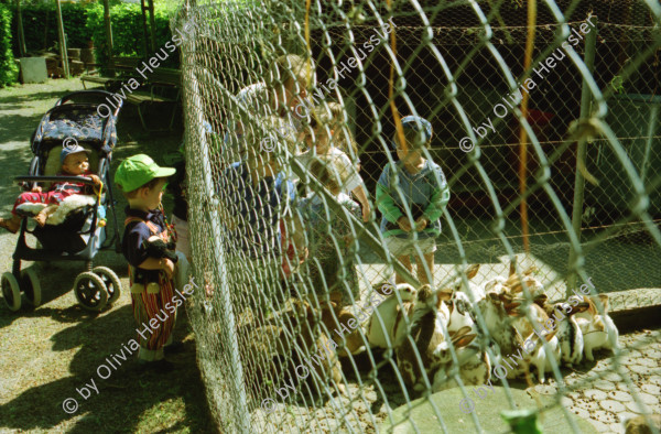 Image of sheet 19980150 photo 6: frtsg. Zentrum Klus Kinder spielen mit Kaninchen Alis Heussler Cafeteria Zwillinge im Kinderwagen Karli Karl der Grosse Zentrum Altstadt Grossmünster von Hinten Zürich 1998