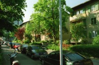 Image of sheet 19980200 photo 1: Imhofstr. Baugenossenschaft Verwaltung.
Zentrum Hardau Tauben gefüttert Kinder Gruppe