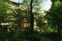 Image of sheet 19980200 photo 13: Imhofstr. Baugenossenschaft Verwaltung.
Zentrum Hardau Tauben gefüttert Kinder Gruppe