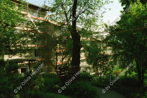 Image of sheet 19980200 photo 13: Imhofstr. Baugenossenschaft Verwaltung.
Zentrum Hardau Tauben gefüttert Kinder Gruppe