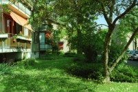 Image of sheet 19980200 photo 22: Imhofstr. Baugenossenschaft Verwaltung.
Zentrum Hardau Tauben gefüttert Kinder Gruppe