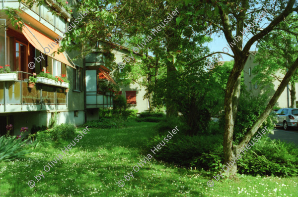 Image of sheet 19980200 photo 22: Imhofstr. Baugenossenschaft Verwaltung.
Zentrum Hardau Tauben gefüttert Kinder Gruppe