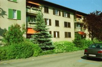 Image of sheet 19980200 photo 9: Imhofstr. Baugenossenschaft Verwaltung.
Zentrum Hardau Tauben gefüttert Kinder Gruppe