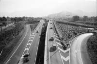 Image of sheet 19980390 photo 28: Victoria Salinas Grossmutter von Alis und Alis an der Bahnhofstrasse in Zürich auf einer Plastikkuh. Graffiti Mural Gordevio Valle Maggia Severin Müller badet die kleine Gina Burri Tochter von Yasmine stillt Gina. Autobahn Tunnel Einfahrt Süd Locarno Umfahrung. Locarno Filmfestival UBS Plakat Ken Loach Piazza Nacht Tessin