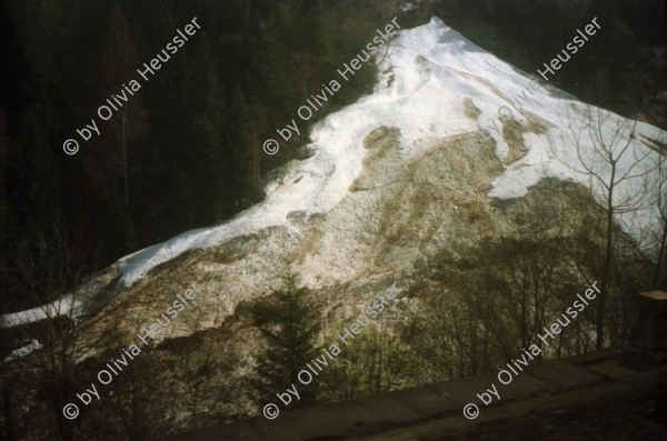 Image of sheet 19990020 photo 15: Ausstellung an Ostern von Carla Zanoli bei La Rada 
Alis Heussler und Raoul in Gordevio Tessin. Lawinen Niedergänge bei Wassen Bei Percy im Elsass Elbach im Hühnerhof stall Alis im Stall. Frankreich 1999