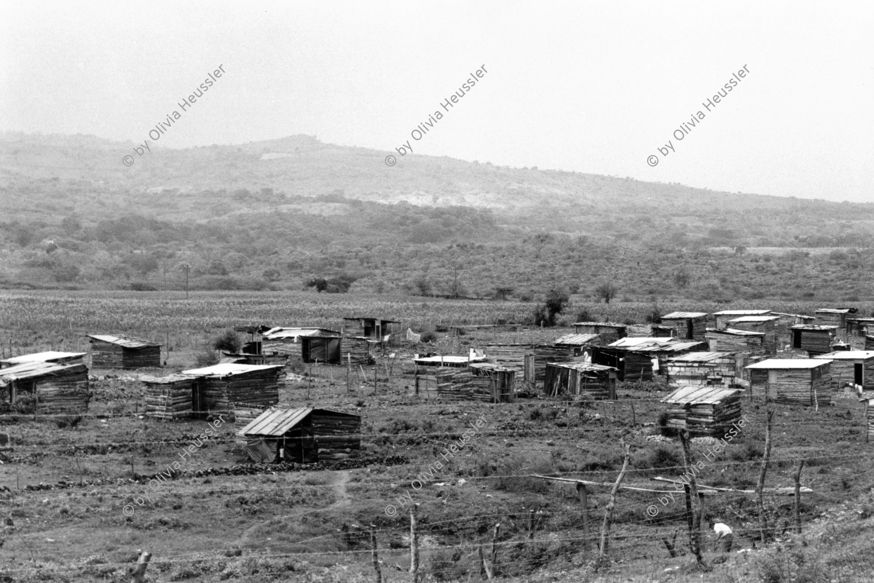 Image of sheet 19990040 photo 23: Eine Siedlung für Opfer des Hurrikans Mitch . Esteli Nicaragua Mai 1999
Opfer des Hurrikans Hurracan Mitch wohnen während der Regenzeit in Zelten mit schwarzen Plasitik plachen hütten.
Victims of Hurricane Mitch live in tents during the rainy season with black tarpaulins Plasitik huts.
Esteli Nicaragua Barrio Nuevo Amanecer, Mai 1999

√ © 1999, Olivia Heussler