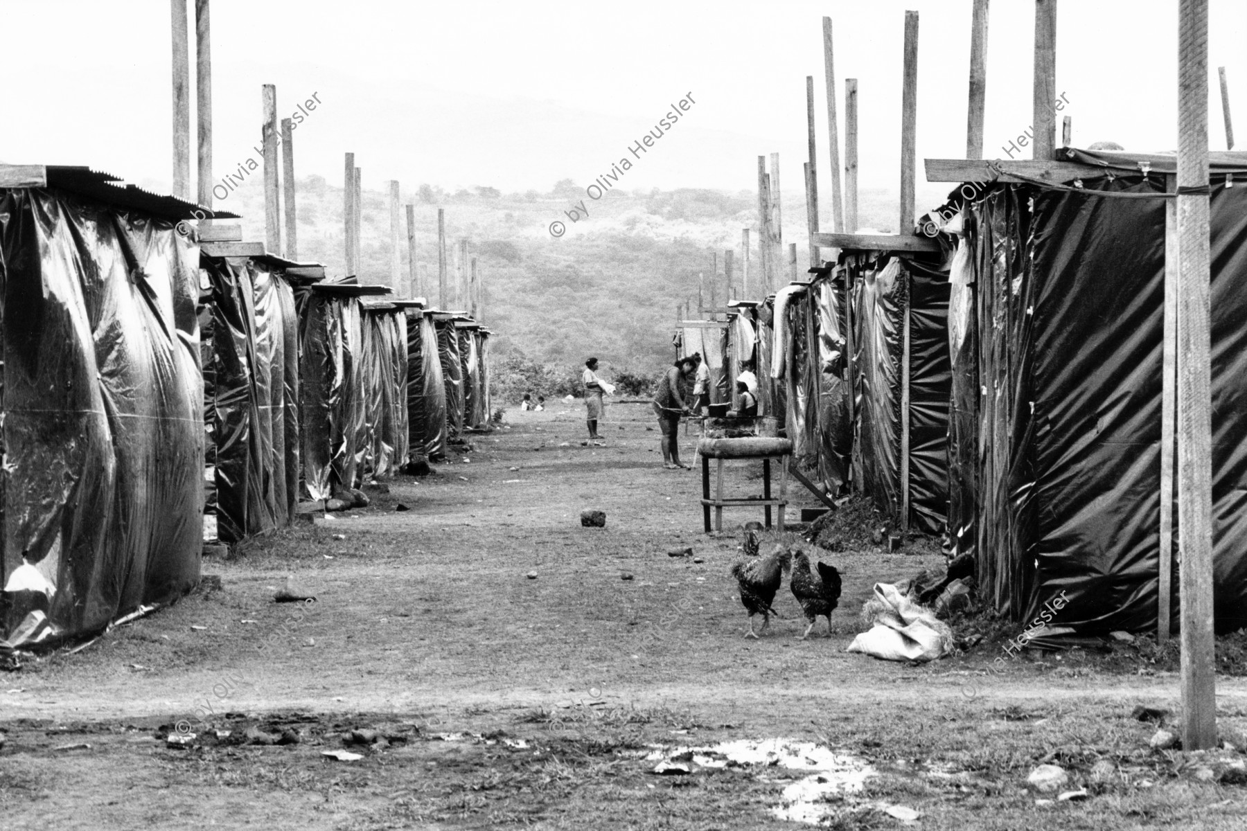 Image of sheet 19990040 photo 5: Opfer des Hurrikans Hurracan Mitch wohnen während der Regenzeit in Zelten mit schwarzen Plasitik plachen hütten. 
Victims of Hurricane Mitch live in tents during the rainy season with black tarpaulins Plasitik huts.
Esteli Nicaragua Barrio Nuevo Amanecer, Mai 1999

√ © 1999, Olivia Heussler