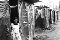 Image of sheet 19990040 photo 7: Opfer des Hurrikans Hurracan Mitch wohnen während der Regenzeit in Zelten mit schwarzen Plasitik plachen hütten.
Victims of Hurricane Mitch live in tents during the rainy season with black tarpaulins Plasitik huts. Woman 
Esteli Nicaragua America central Barrio Nuevo Amanecer, Mai 1999

√ © 1999, Olivia Heussler