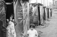 Image of sheet 19990040 photo 8: I
