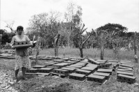 Image of sheet 19990050 photo 15: Frauen aus Waslala helfen den Bauern von Miraflor im Blockbau zur Reparation der Häuser die durch den Hurrikan Hurricane Hurrican Mitch 1998 zerstört wurden. UCA Miraflor Esteli Nicaragua 

Für SAH Schweizerisches Arbeiterinnen Hilfswerk
Solidar Suisse (bis 2011 Schweizerisches Arbeiterhilfswerk (SAH)) engagiert sich für eine sozial, politisch und ökonomisch gerechtere Gesellschaft. In der Trägerschaft des Hilfswerkes sind unter anderem der Schweizerische Gewerkschaftsbund (SGB) und die Sozialdemokratische Partei der Schweiz (SP) vertreten.