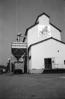 Image of sheet 19990090 photo 16: Eine Getreide Mühle in Altkirch.