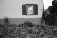 Image of sheet 19990090 photo 20: Elbacher Fenstermalerei