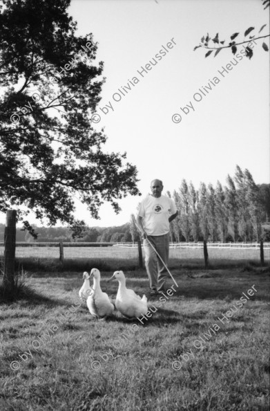 Image of sheet 19990090 photo 7: Percy mit seinen Enten beim Znacht und eine Getreide