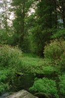 Image of sheet 19990100 photo 25: stillgelegter Camping in Gordevio wegen Einrichtung Naturpark mit Linda Herzog und Luzian mit Alis Wasser der Maggia Nebenfluss Naturlandschaft. Pflanzen Schneeverbauungen auf der Rigi bei Kaltbad alte Kohle Dampflokomotive mit Führer
1999 Tessin