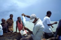 Image of sheet 19991207 photo 556: Fischer Fisherman fish Pacific Ocean Pazifischer Ozean 
Dar es Salaam East Africa Ost Afrika Tansania 1999
√

© 1999, OLIVIA HEUSSLER www.clic.li