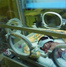 Image of sheet 20000170 photo 2: Portrait Diakonissin Schwester Schweizer im Spital Zollikerberg Neonatologie Abteilung Frühgeborenes
im Brutkasten Gesundheit Baby Kleinkinder Neugeborenes