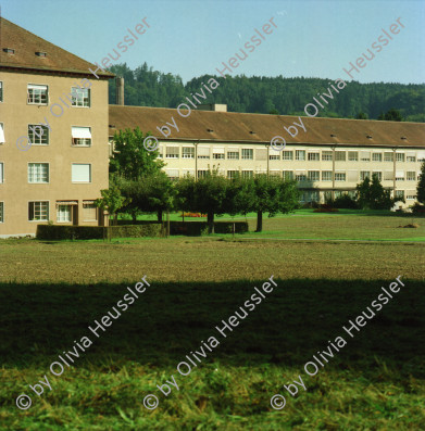 Image of sheet 20000170 photo 8: Portrait Diakonissin Schwester Schweizer im Spital Zollikerberg Neonatologie Abteilung Frühgeborenes
im Brutkasten Gesundheit Baby Kleinkinder Neugeborenes