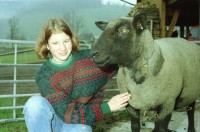 Image of sheet 20000210 photo 21: Schafzucht mit  Herde Biofleisch Bauernhof Landwirtschaft Schafe