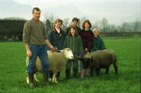 Image of sheet 20000210 photo 32: Schafzucht mit  Herde Biofleisch Bauernhof Landwirtschaft Schafe