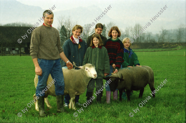 Image of sheet 20000210 photo 32: Schafzucht mit  Herde Biofleisch Bauernhof Landwirtschaft Schafe