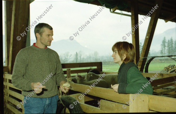 Image of sheet 20000210 photo 4: Schafzucht mit  Herde Biofleisch Bauernhof Landwirtschaft Schafe