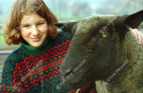 Image of sheet 20000230 photo 3: Schafzucht mit Biofleisch Bauernhof Landwirtschaft Schafe und Mädchen Kind