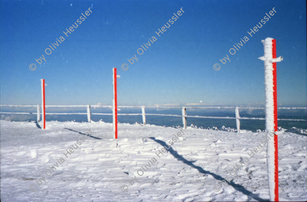 Image of sheet 20000290 photo 12: Magadino ebene Tessin überflutet Ueberflutung Überflutung 
Rigi Alis Raoul Batantu Chudi Bürgi Schnee Aussicht auf See
November 2000
Jaqueline Lilian Redaktion SF Schweizer Familie alte Mac G3 Baslerstrasse 
Alis Heussler geschminkt in Krippe Kinderfest Artergut Internationaler Tag des Kindes 20.Nov. 2000