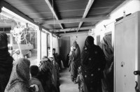 Image of sheet 20010070 photo 9: Pakistan Quetta Baluchistan 2001
Die afghanische Aerztin Dr. Sima Samar ist Hazara und arbeitet in ihrer Shuada Klinik in Mariabad im Spital.Sie empfängt Patientinnen Frauen und ihre Kinder im Sprechzimmer Paschtuninnen und Hazara Ihre Organisation unterstützt Hazara Flüchtlinge aus Afghanistan Gruppenbild Hazara Mädchen mit Leishmaniose. Die meisten Kleinkinder leiden an Diarröh Durchfallerkrankungen Durchfall  Familen Frauen tragen die Burka Mütter warten essen Väter mit Kinder  alter Hazara mit Nationalvogel Chukar Partridge Alectoris chukar im Käfig

Hazāra (Persian: هزاره‎) are a Persian-speaking people who mainly live in central Afghanistan. They are overwhelmingly Twelver Shia Muslims and comprise the third largest ethnic group of Afghanistan, forming about 9% (according to other sources up to 19%) of the total population. More than 650,000 Hazara live in neighbouring Pakistan (mostly settled in Quetta) and an estimated one million in Iran.

Balochistan (Balochi: بلوچستان) or Baluchistan[1] (lit. Land of the Baloch) is an arid, desert and mountainous region on the Iranian plateau in south-western Asia, northwest of the Indian Ocean near the Persian Gulf. It mainly includes southwestern Pakistan, southeastern Iran and a smaller section of southwestern Afghanistan.

Belutschistan (persisch ‏بلوچستان‎) ist eine Region im Iranischen Hochland, die sich über den Osten Irans, den Süden Afghanistans und den Südwesten Pakistans erstreckt. Die Fläche beträgt etwa 300.000 km².