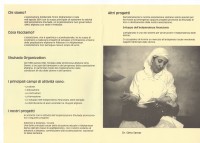 Image of sheet 20010075 photo 9: flyer