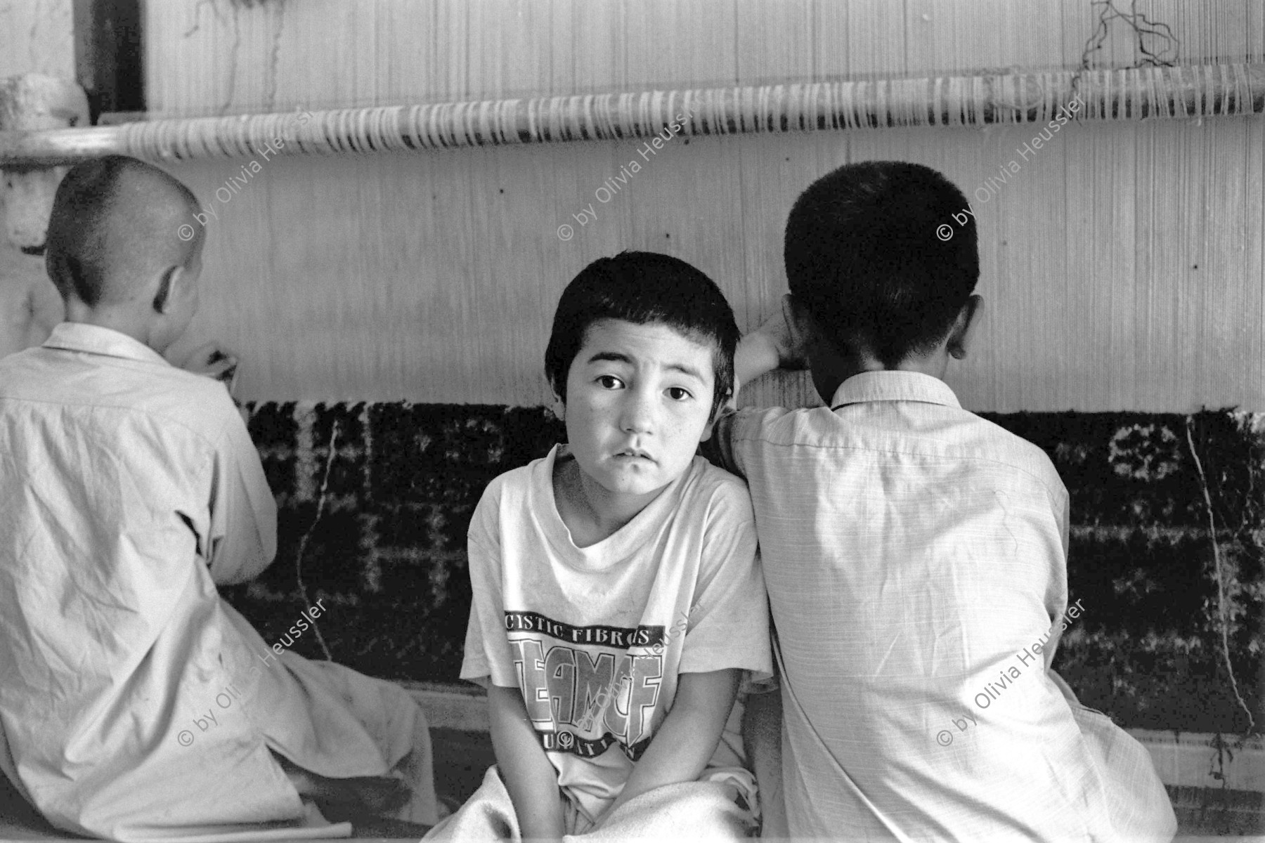 Image of sheet 20010076 photo 17: Hazara Kinder an der Arbeit beim Teppich-Knüpfen, Mehr Abad, Quetta Pakistan 2001.
Kinderarbeit Buben Jungs Knaben Gruppenbild
Hazara children boys at work in the carpet production. childlabor labour

Hazāra (Persian: هزاره‎) are a Persian-speaking people who mainly live in central Afghanistan.