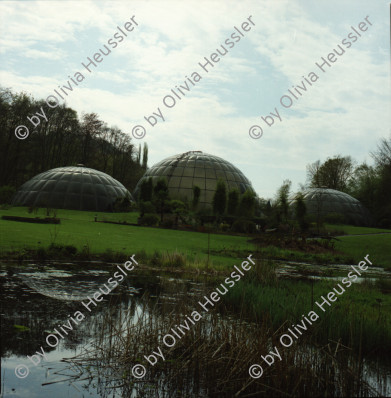 Image of sheet 20010100 photo 1: Alis Heussler Lena Thomas Fingerhuth im Botanischen Garten Zürich