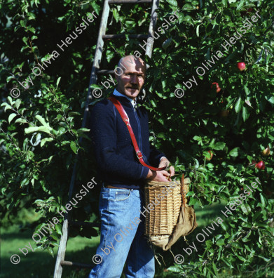 Image of sheet 20010120 photo 8: Apfel pflücken Bauer Obst Baum