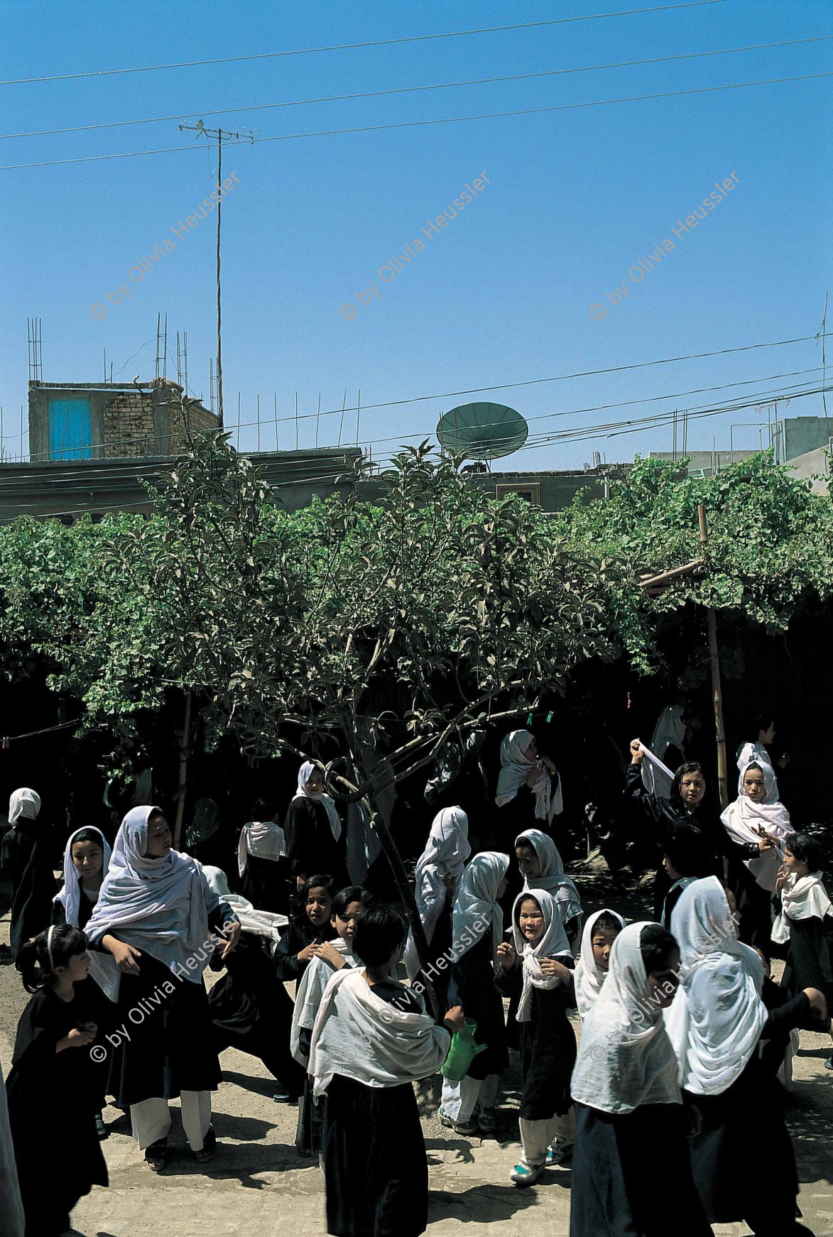 Image of sheet 20013001 photo 23: studentinnen student woman Schule Frauen Mädchenschule Mädchen girl school refugees afghan