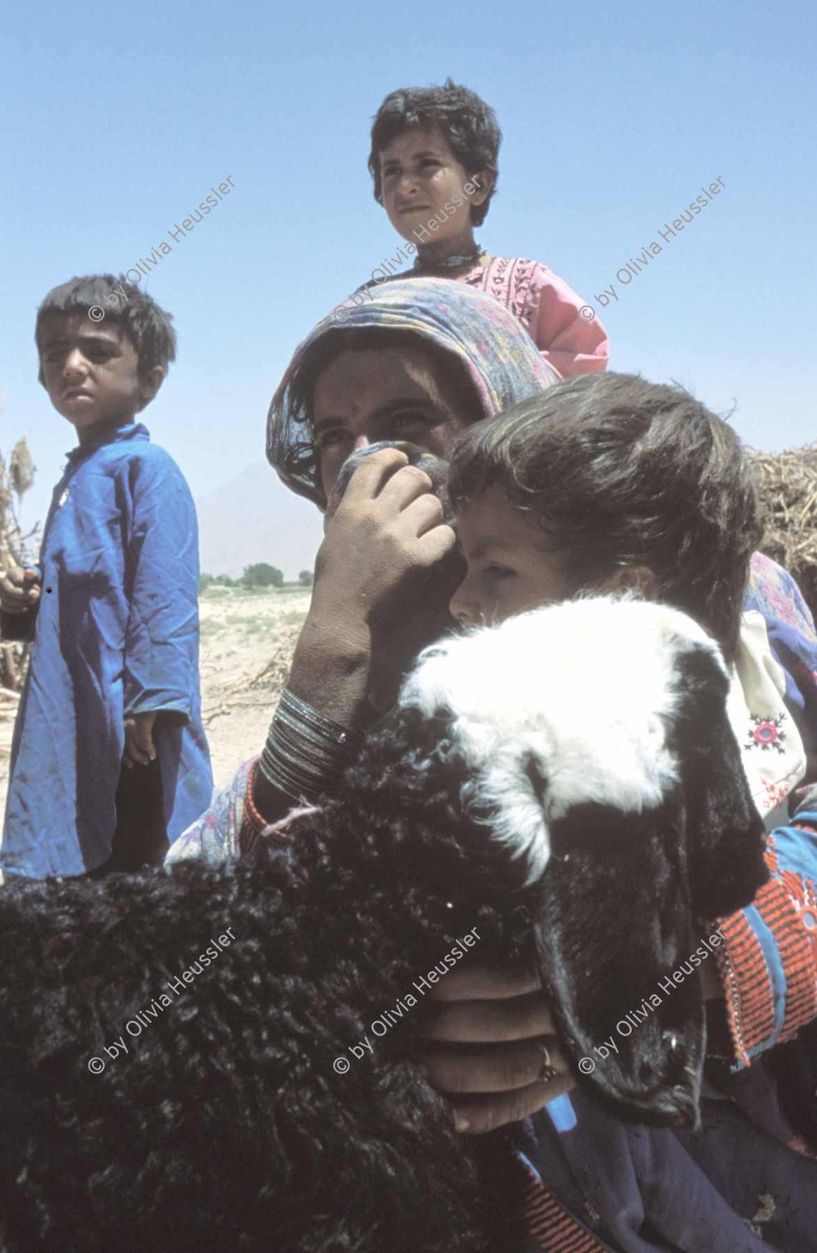 Image of sheet 20013001 photo 53: Pakistan Quetta Baluchistan 2001 
Brahmanen leben mit ihren Schafen in der Wüste von Belutschistan
Belutschistan Mädchen Frauen

Ein Brahmane (Sanskrit, ब्राह्मण, brāhmaṇa) ist im indischen Kastensystem ein Angehöriger der obersten Kaste (Varna). Im Hinduismus ist es Vorrecht und Pflicht der Brahmanen, Lehrer des Veda und Gelehrte zu sein, bis heute stellen hauptsächlich sie die Priester. Daher war „Brahmane“ auch ein religiöser Titel.